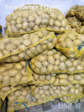 Картофи за консумация Сорая