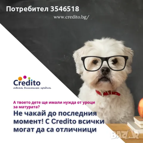 Пари на върха на пръстите ви - бърз кредит с 0% лихва от Кредито, снимка 16 - Кредити - 39941648