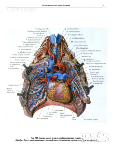 Продавам Руски атласи по медицина., снимка 9 - Електронни книги - 48460842