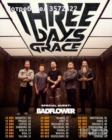 Два билета за концерта на Three days grace в Румъния 