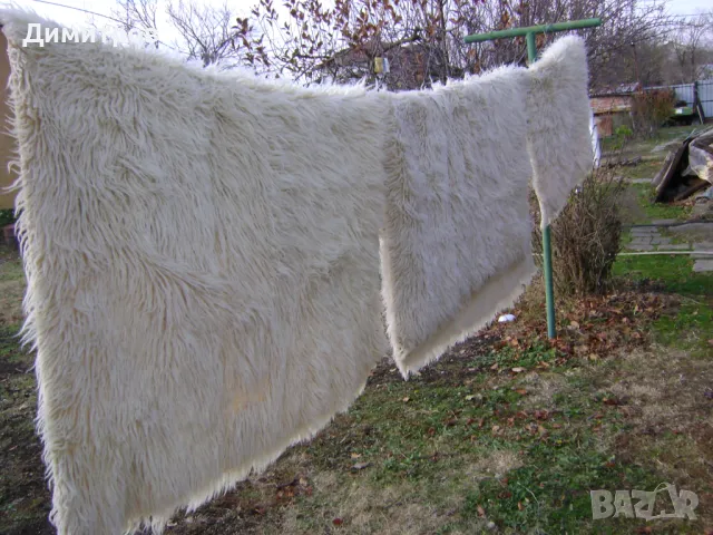 НОВИ ГУБЕРИ, снимка 2 - Антикварни и старинни предмети - 48162011