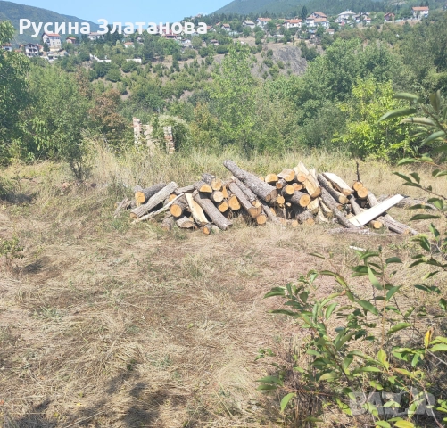 Продавам слънчево и равно УПИ в с. Владо Тричков, снимка 4 - Парцели - 52329833