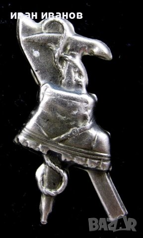 Природозащитник-Награда-Емайлирана значка, снимка 3 - Колекции - 43911842