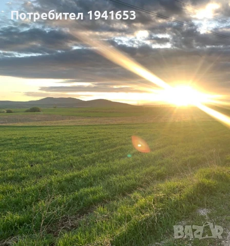 Продавам парцел - УПИ в с. Пожарево, общ. Божурище, снимка 3 - Парцели - 51003847