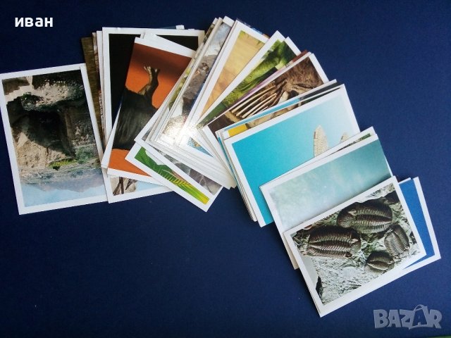 Стикери за  албум "Праисторически времена" - Била - 2012г.