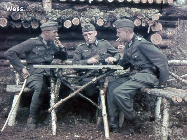 Германия, Трети райх, Вермахт – пагони офицер , снимка 3 - Други ценни предмети - 28795917