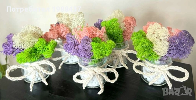 Картини /Подаръчета за повод от скандинавски мъх