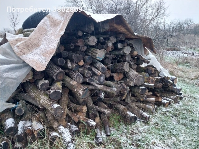 Дърва за  огрев , снимка 3 - Дърва за огрев - 53064472
