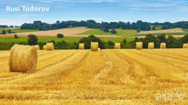 Купувам земеделска земя, идеални части (неподелени имоти), проблемни имоти