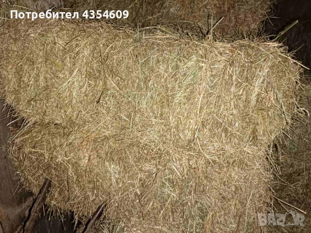 Люцерна, малки бали