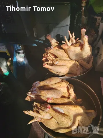 продавам домашно гледани пуйки пуяци , снимка 4 - Кокошки и пуйки - 48051978