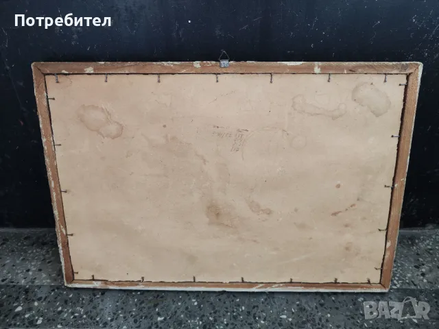 Картина "Утро в боровата гора", снимка 4 - Картини - 48459114