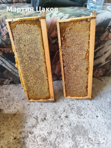 Пити с пчелен мед 