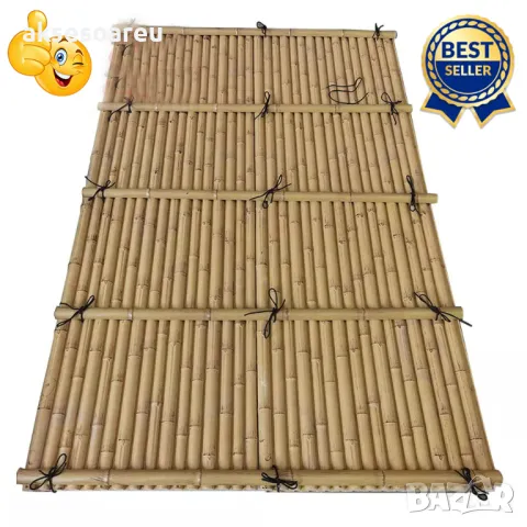 100 броя редки бамбукови семена зелен бамбук Moso-Bamboo мосо бамбо растение за декорация и украса , снимка 6 - Сортови семена и луковици - 48992845