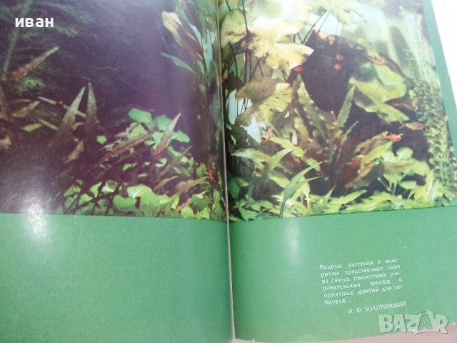 Мир аквариума - Г.Романишин,В.Мишин - 1986г., снимка 2 - Енциклопедии, справочници - 36936774