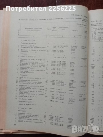 Проблеми на лозарството, снимка 3 - Специализирана литература - 50611421
