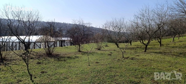 Парцел - с.Калипетрово, снимка 2 - Парцели - 53505180