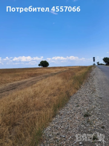 Продавам земеделска земя С.Клисура област София , снимка 3 - Земеделска земя - 52062725