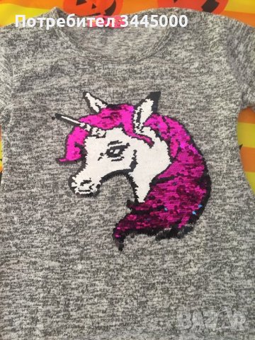 Две блузки за момиче, снимка 4 - Детски Блузи и туники - 38723677