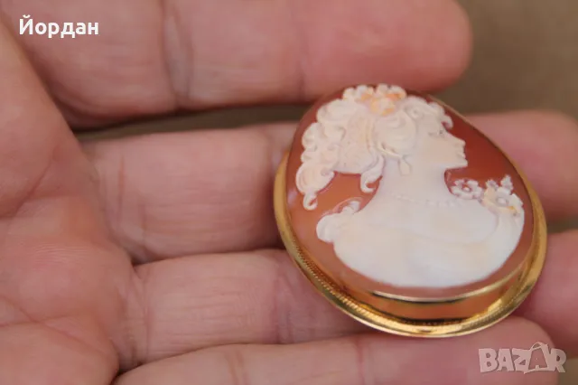 Изящна брошка с камея и златен обков, снимка 15 - Други стоки за дома - 49753837
