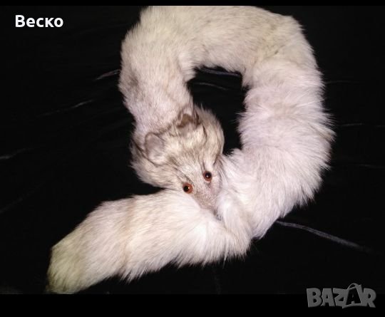 Яка - Шал бяла Лисица, снимка 2 - Шалове - 26613140