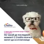 Пари на върха на пръстите ви - бърз кредит с 0% лихва от Кредито, снимка 16