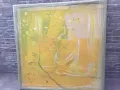 картина „Натюрморт с Амфора“ , маслени бои, художник Владин Владев , снимка 2
