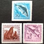 СССР, 1960 г. - пълна серия чисти марки, риби, 1*38, снимка 1