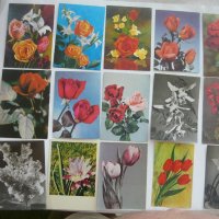 Пощенски картички с цветя и животни., снимка 2 - Колекции - 43512265