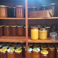 Пчелен мед и пчелен прашец , снимка 3 - Пчелни продукти - 43942016