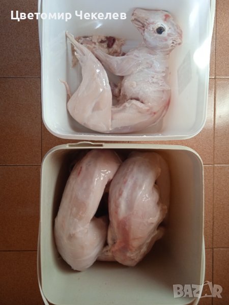 Заешко месо в Кутии, снимка 1