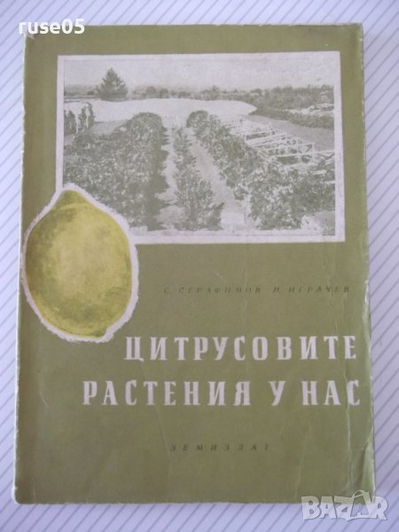 Книга "Цитрусовите растения у нас - С.Серафимов" - 144 стр., снимка 1