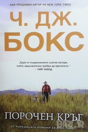 Порочен кръг, снимка 1