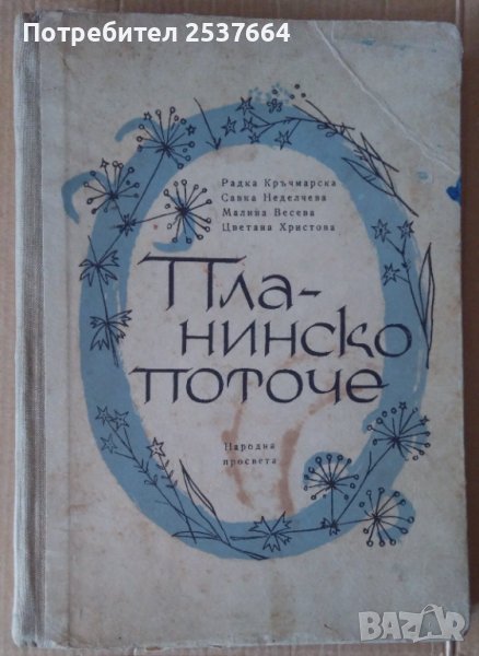 Планинско поточе  Радка Кръчмарска, снимка 1