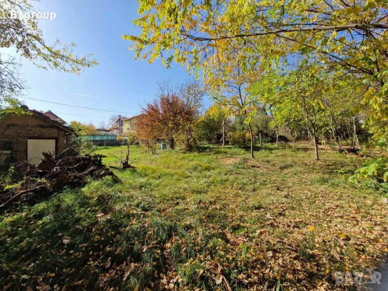 Почистване на дворове и градини, снимка 1