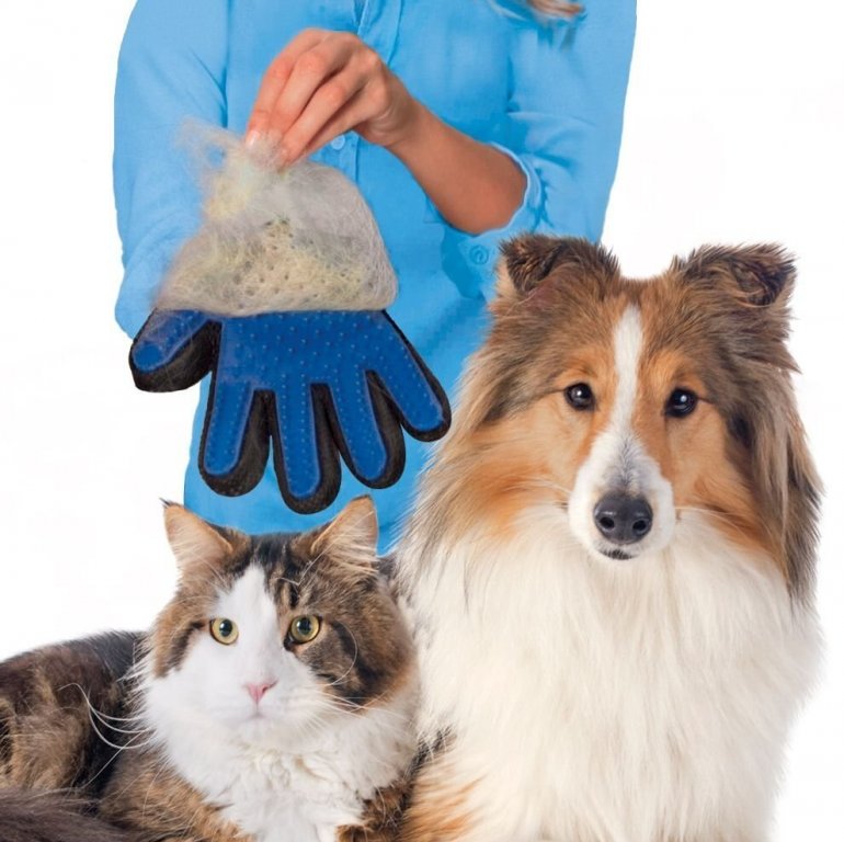 Ръкавица за сресване и обиране на косми за домашни любимци , кучета , котки  в Други стоки за животни в гр. Ямбол - ID28289439 — Bazar.bg