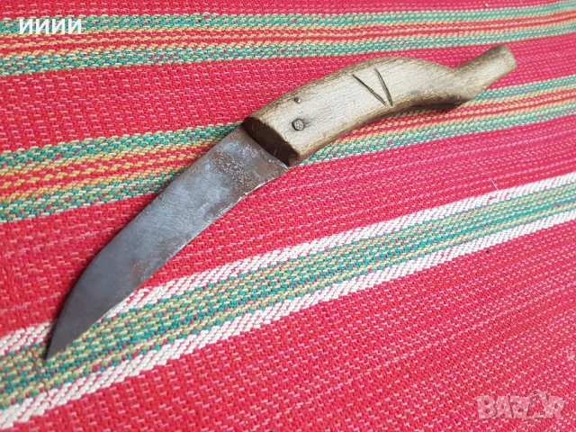 Ножка сойка