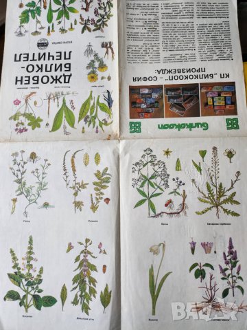 Джобен билколечител , свитък 1-3, библиотека "Здраве", полезни с таблици на болестите и билките , снимка 6 - Енциклопедии, справочници - 44843677