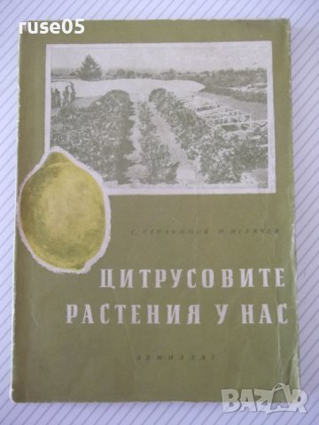 Книга "Цитрусовите растения у нас - С.Серафимов" - 144 стр.