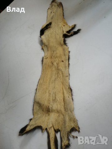 Кожа от норка