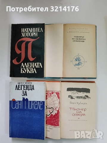 Алената буква - Натаниъл Хоторн