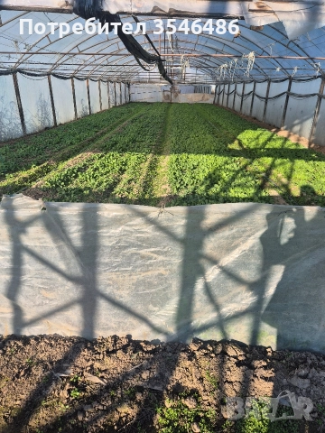 Отдавам под наем оранжерии