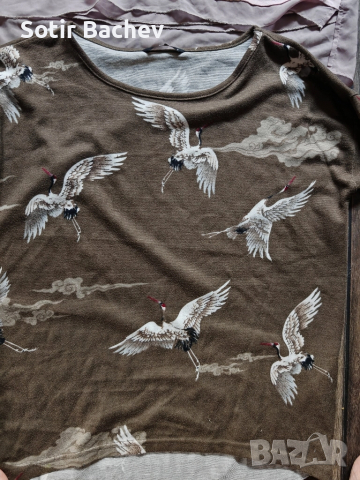 продавам лот от дамски блузи , снимка 5 - Блузи с дълъг ръкав и пуловери - 51860622