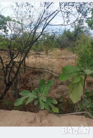 Къща в С. Памидово 