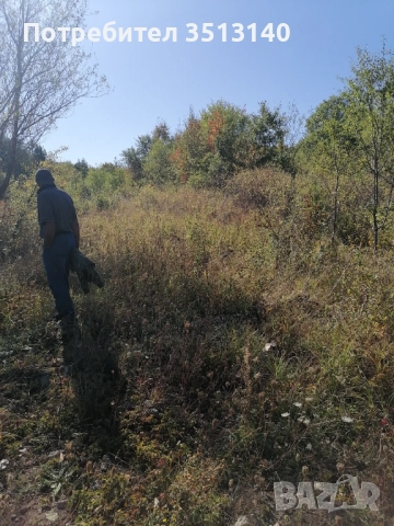 Парцел с. Панчарево, София, снимка 18 - Парцели - 51669556