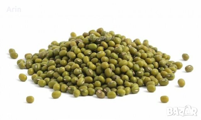 Боб Мунг, снимка 2 - Други - 37174371