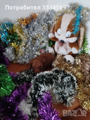 Мини и Той Пуделчета ., снимка 3 - Пудели - 52898082