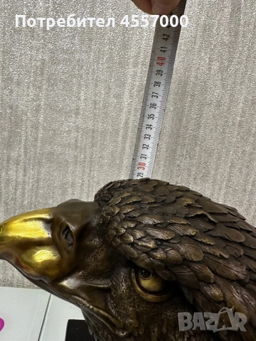 Главата на Орел, като добавих и теглото от 6 кг, за да бъде обявата напълно точна:, снимка 3 - Антикварни и старинни предмети - 53406027