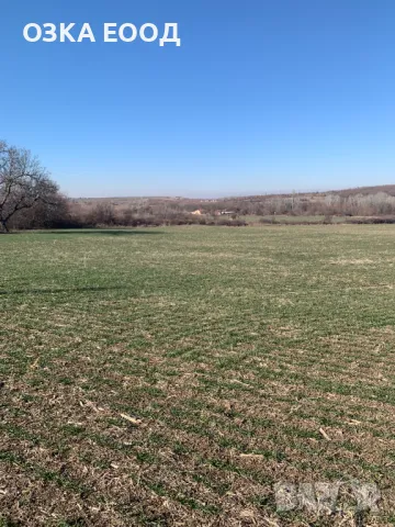 Продавам 1/3 идеални части от нива в с. Мулдава м. СТАРАТА КОЛИБА, снимка 5 - Земеделска земя - 49567536
