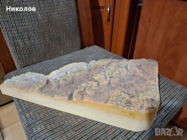 СЕТ ЗА КОСТЕНУРКИ ПРОМОЦИЯ, снимка 9 - Костенурки - 53280552